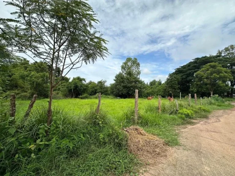 ที่ดินทำเลดีๆ ตรงข้ามโรงเรียนเชียงยืนพิทยาคม