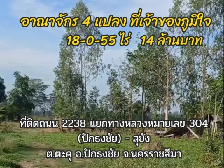 ขายที่ดินพร้อมบ้าน อาณาจักร 4 แปลง ที่เจ้าของภูมิใจ