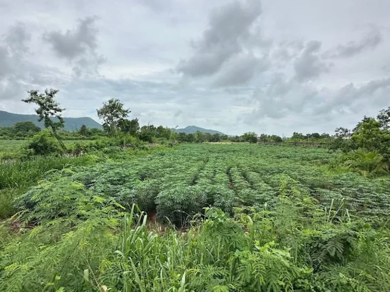 ขายที่ดินแปลงสวย ติดถนนสุขุมวิท บางเสร่ 8-1-19 ไร่