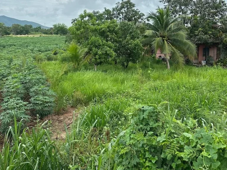 ขายที่ดินแปลงสวย ติดถนนสุขุมวิท บางเสร่ 8-1-19 ไร่