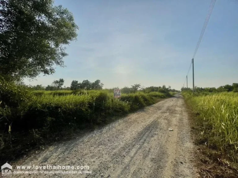 ขายที่ดินเปล่าหนองเสือปทุมธานี พื้นที่ 2 ไร่ เมตรที่สวย