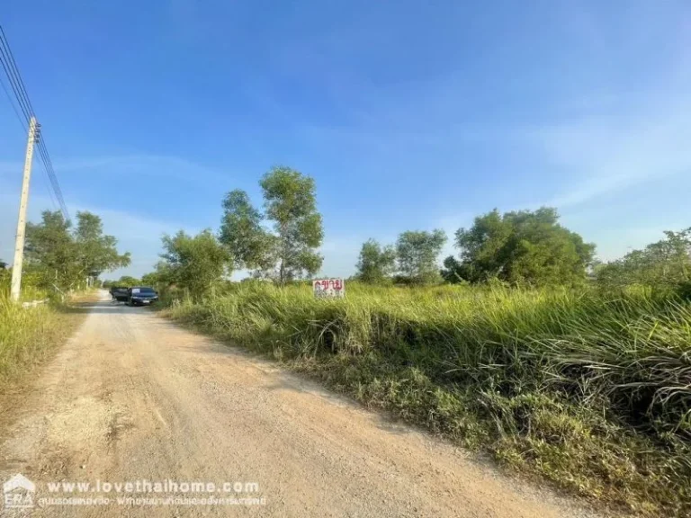 ขายที่ดินเปล่าหนองเสือปทุมธานี พื้นที่ 2 ไร่ เมตรที่สวย