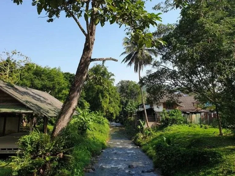 ขายบ้านทรงไทยพร้อมที่ดิน และบึงขนาดใหญ่ ภูมิทัศน์สวยงามหายาก