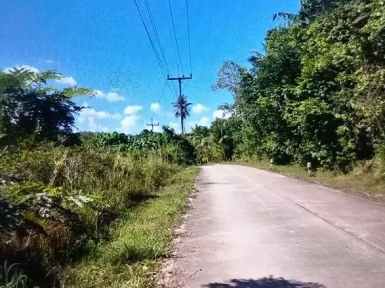 ขายที่ดิน บนเกาะลันตาใหญ่ หลัง สำนักงานที่ดิน ตศาลาด่าน