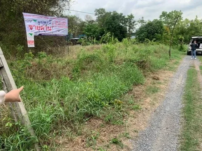 ขายที่ดินเปล่า100 ตรว ตรังสิตใต้ อธัญบุรี จปทุมธานี