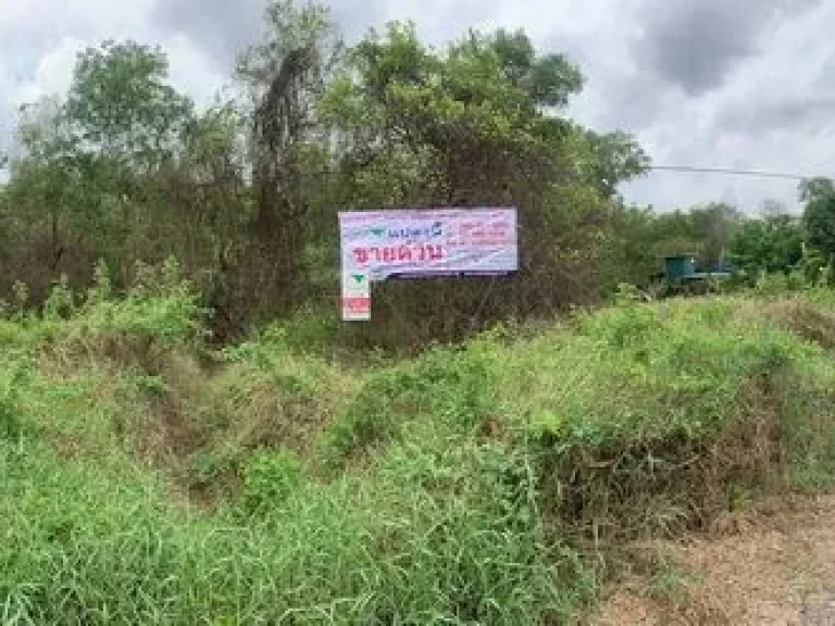 ขายที่ดินเปล่า100 ตรว ตรังสิตใต้ อธัญบุรี จปทุมธานี