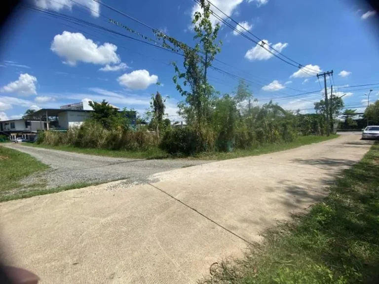 ขายที่ดินติดถนนสามด้านตำบลแม่เหียะตรงข้ามโรงเรียนนานาชาติ