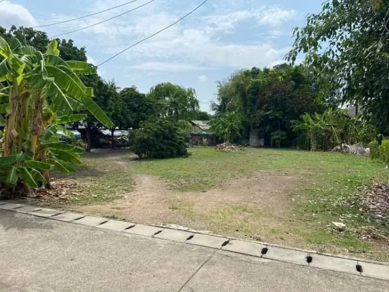 ขายที่ดินบ้านโขงขาวห่างถนนหลักเพียง 200เมตรพร้อมโอน