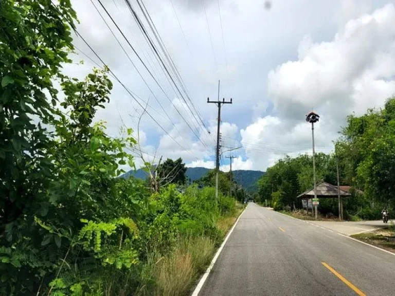 ขายที่ดิน เขายายดา ทางหลวงชนบท ถนนสุขุมวิท ตำบลตะพง