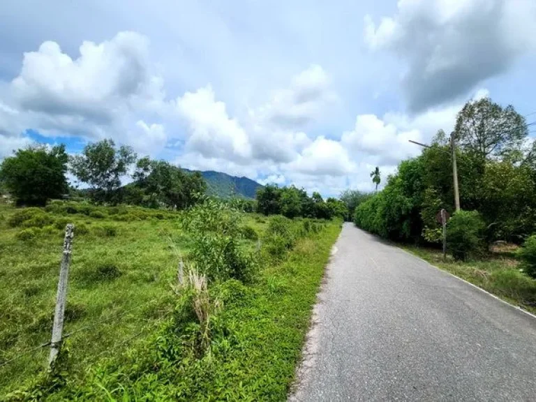 ขายที่ดิน เขายายดา ทางหลวงชนบท ถนนสุขุมวิท ตำบลตะพง