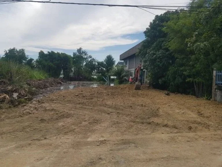 ขายด่วนที่ดินซอยบางปู111 เพลินจิต ถนนสุขุวิทสายเก่า บางปู