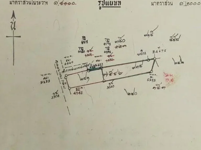 ที่ดินประชาอุทิศ ที่ดินทุ่งครุ 1 ไร่กว่า ผังเมืองสีส้ม