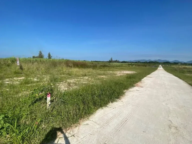 ขายที่ดิน หัวหิน แปลงสวย ทำเลดี ใกล้ถนนบายพาส ชายหาดหัวหิน