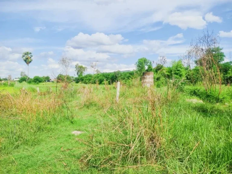 บ้านเดี่ยว ให้เช่า สายไหม มบมัณฑนา เลค วัชรพล สุขาภิบาล 5