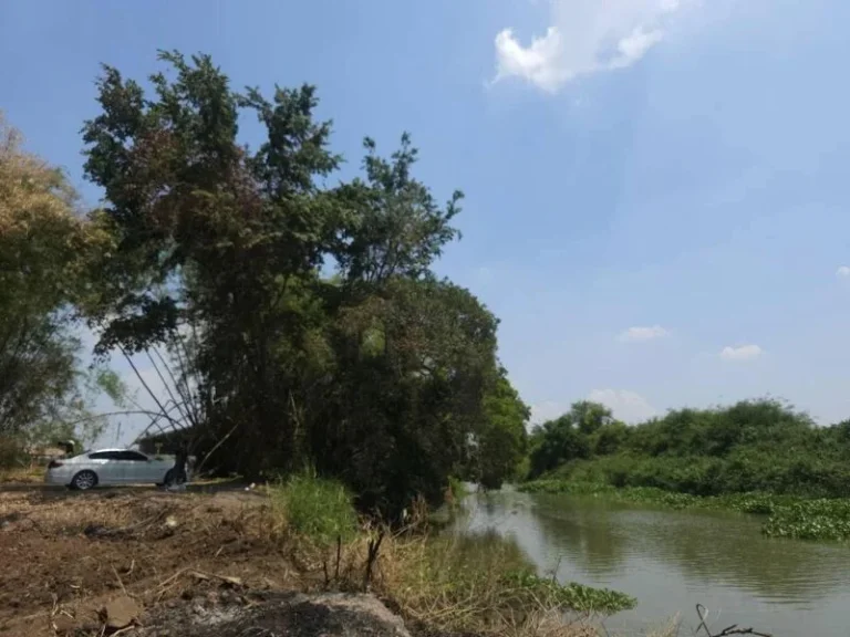 ขายที่ดินบ้านสร้างติดคลองบางหอย 388 ตรว