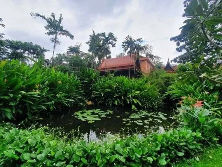 บูทีคโฮเทลพร้อมบ้านเรือนไทยขนาดใหญ่ ถนนแจ้งวัฒนะ