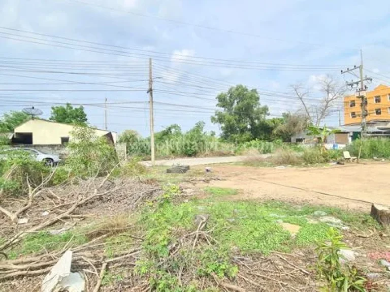 ที่ดินจัดสรรติดถนน ใกล้แฟคตอรี่แลนด์ วังน้อย พระนครศรีอยุธยา