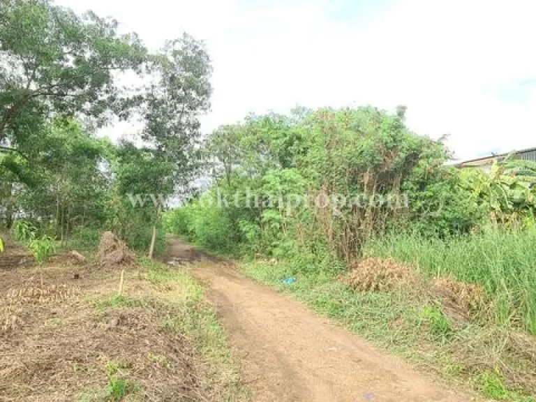 ที่ดิน ใกล้หมู่บ้านธนาทรัพย์สิน ชะแมบ วังน้อย พระนครศรีอยุธยา