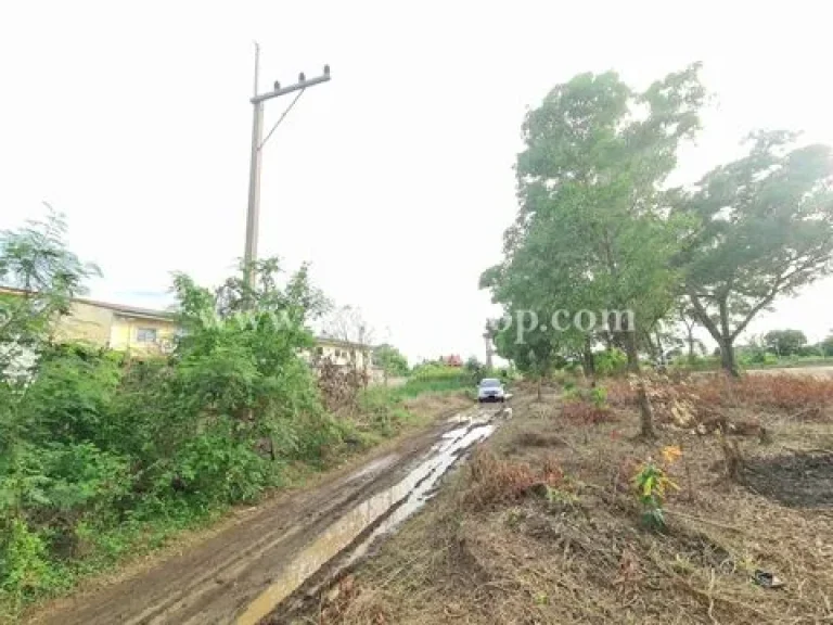 ที่ดิน ใกล้หมู่บ้านธนาทรัพย์สิน ชะแมบ วังน้อย พระนครศรีอยุธยา