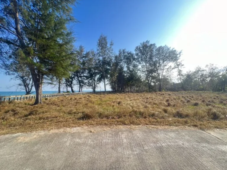 ขายที่ดินติดทะเลหาดบ้านกรูด บางสะพาน จังหวัดประจวบ เนื้อที่