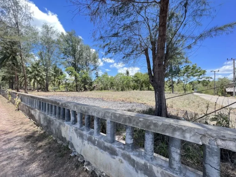 ขายที่ดินติดทะเลหาดบ้านกรูด บางสะพาน จังหวัดประจวบ เนื้อที่