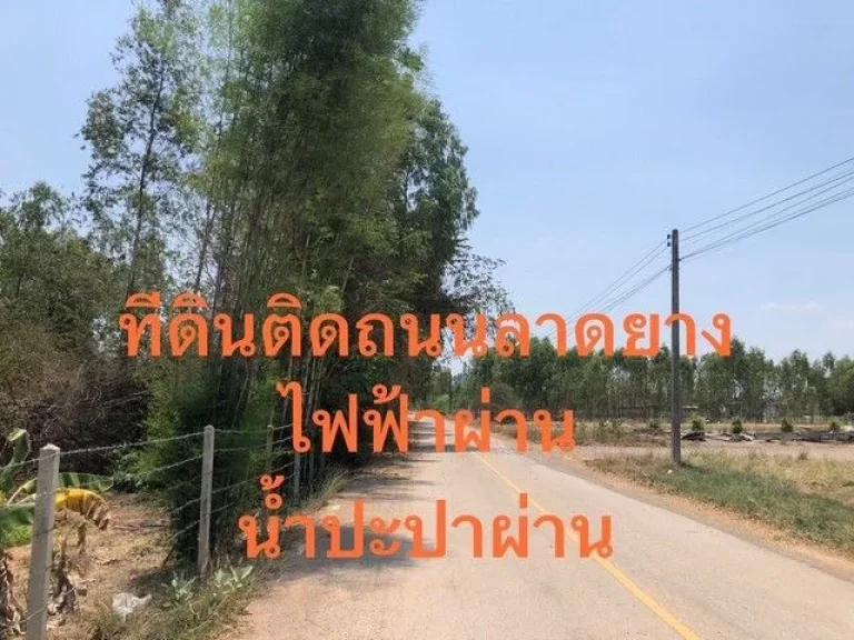 ขายที่ดินถมแล้วติดถนน 2 ด้าน ตรางบัว อจอมบึง จราชบุรี