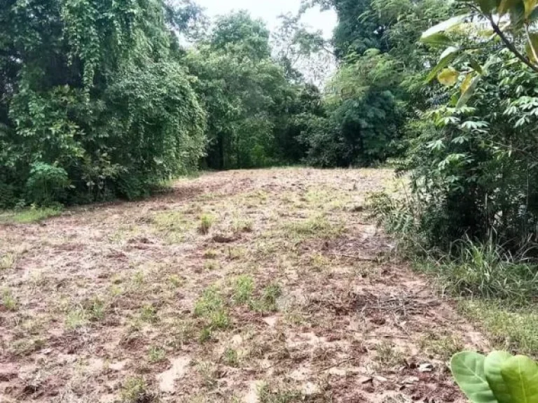 ที่ดินแปลงสวย หน้าติดถนนสายหลัก หลังติดคลอง อุตรดิตถ์