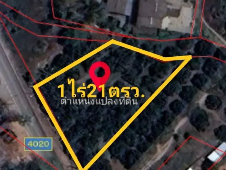 ขายสวนลำไยทำเลดีใกล้เชียงใหม่ ติดทางหลวง 4020 บ้านหนองผ้าขาว