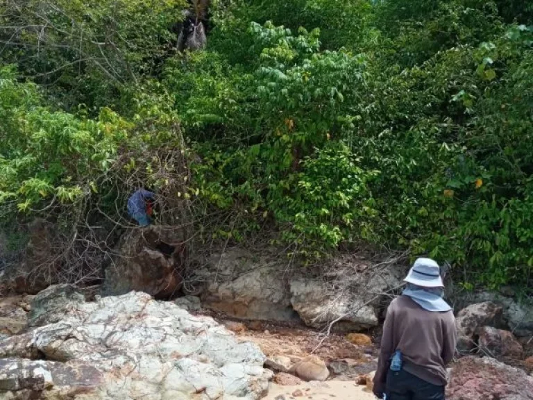 ขายที่ดินติดทะเล เกาะกำใหญ่ เกาะลันตาเกาะส่วนตัวแปลงสวย