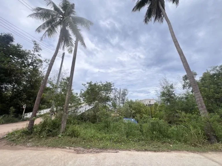 ขายที่ดินห่างทะเลหาดบ้านกรูด 100 เมตร เนื้อที่ 15 ไร่