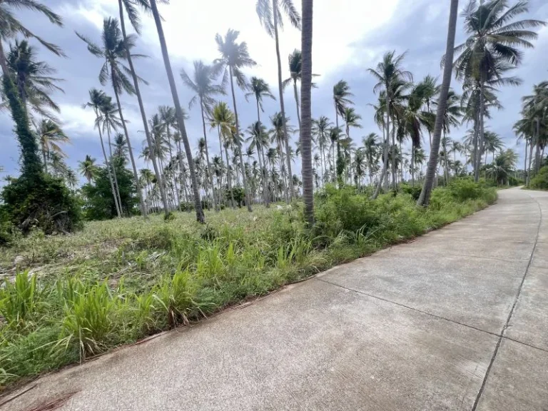 ขายที่ดินห่างทะเลหาดบ้านกรูด 100 เมตร เนื้อที่ 15 ไร่