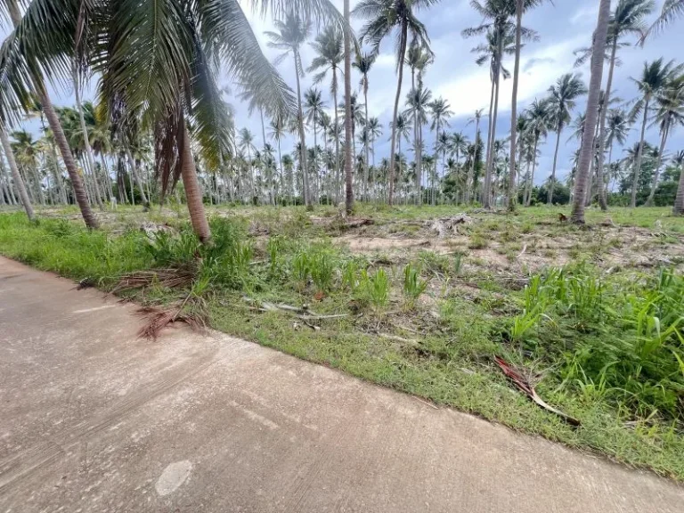 ขายที่ดินห่างทะเลหาดบ้านกรูด 100 เมตร เนื้อที่ 15 ไร่