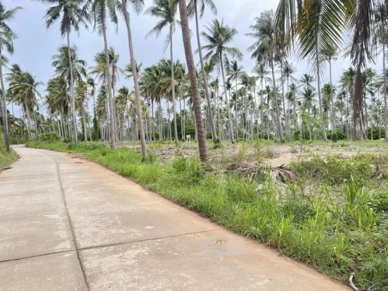 ขายที่ดินห่างทะเลหาดบ้านกรูด 100 เมตร เนื้อที่ 15 ไร่