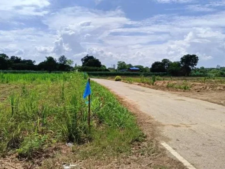 ขายที่ดิน 1 ไร่ ติดถนนลาดยาง ตสวนป่าน เมือง นครปฐม