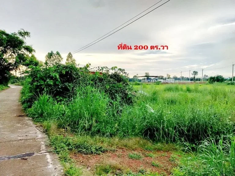 ขาย ที่ดิน 200 ตรวา ใกล้ถนนสุวรรณศรใหม่ เพียง 150 เมตร