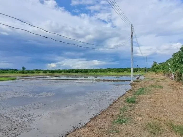 ขายที่นาดินดีน้ำดีไฟฟ้าพร้อม บ้านเหล่าดู่ ตหนองยวง