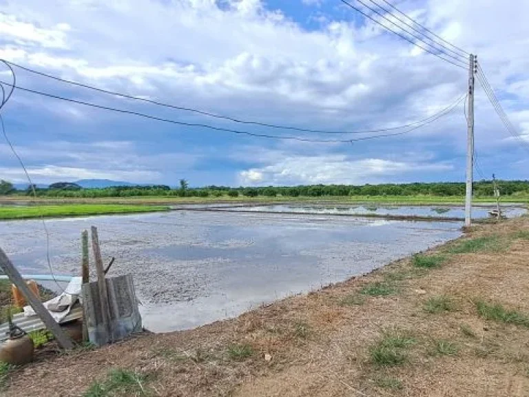 ขายที่นาดินดีน้ำดีไฟฟ้าพร้อม บ้านเหล่าดู่ ตหนองยวง