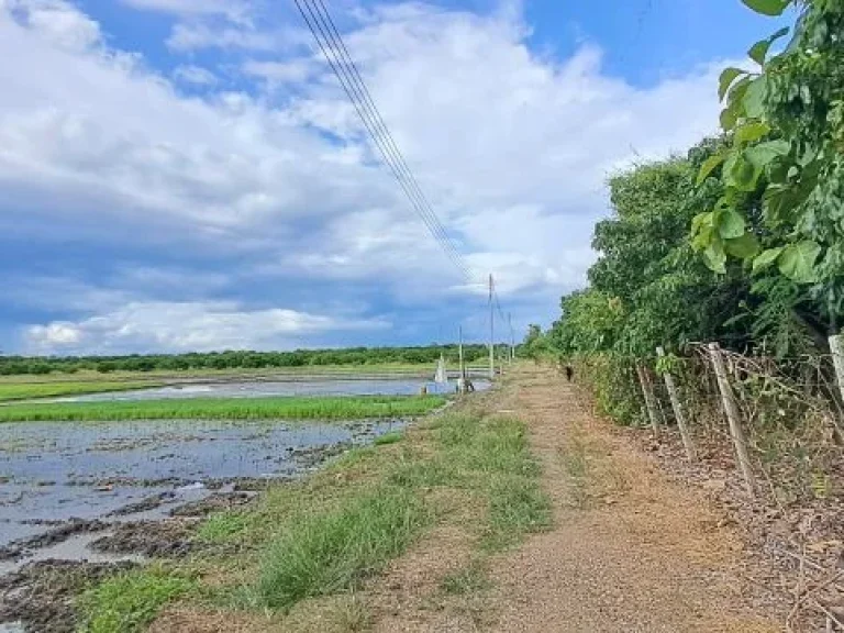 ขายที่นาดินดีน้ำดีไฟฟ้าพร้อม บ้านเหล่าดู่ ตหนองยวง