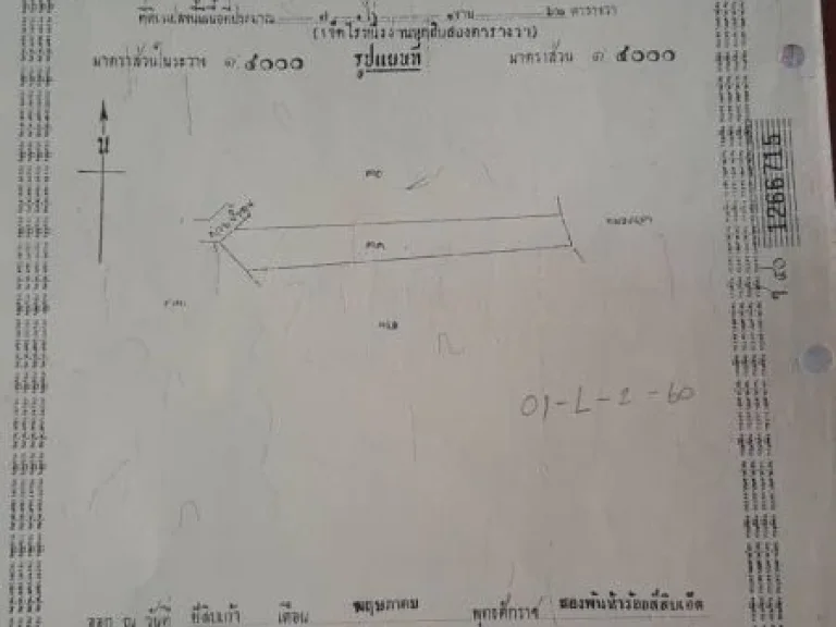 ด่วน ที่ดินสวย 109 ไร่ ทำเกษตรได้ทั้งปี ปัจจุปันมีคนเช่า