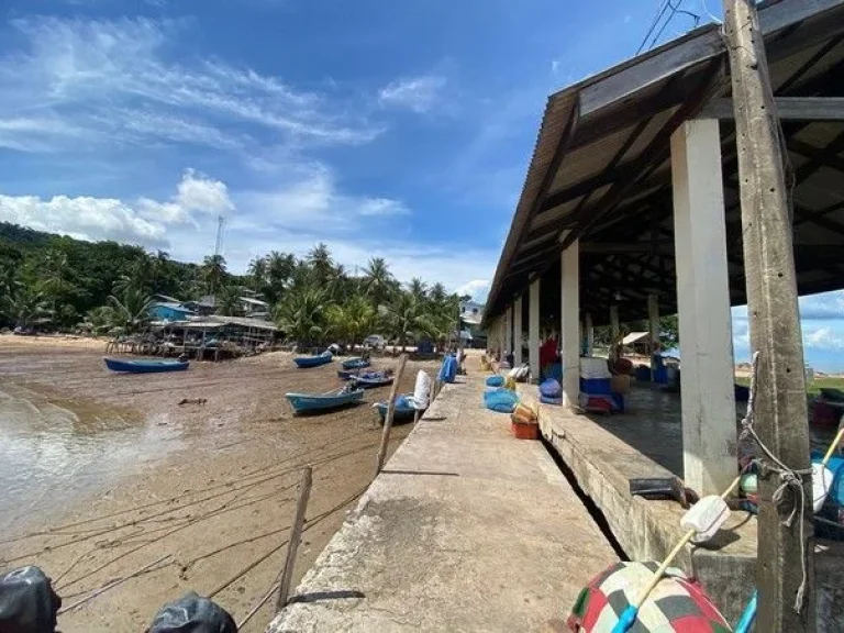 ที่ดินเปล่า หาดศาลเจ้า จตราด 4-2-2 ไร่ ที่ติดหาดสวยมาก