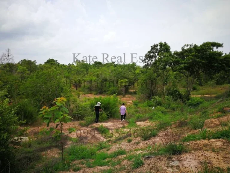 ขายที่ดินพิบูลมังสาหาร จังหวัดอุบลราชธานี