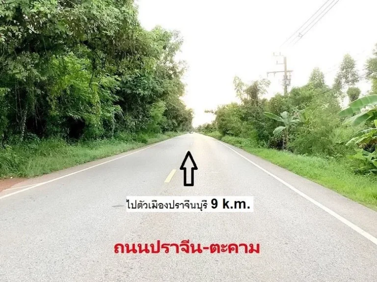 ขาย ที่ดิน 2-2-205 ไร่ ใกล้ถนนปราจีน-ตะคาม เพียง 800 เมตร