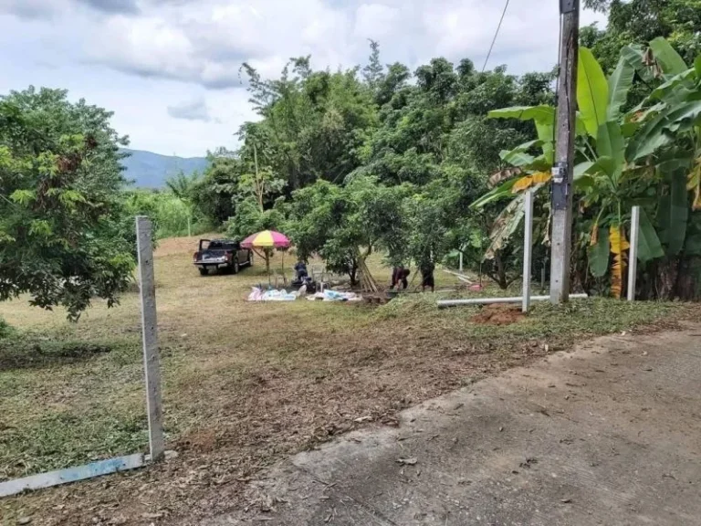 ขายที่ดินเนื้อที่ 289ตรว ติดถนนคอนกรีต หลังติดลำห้วย