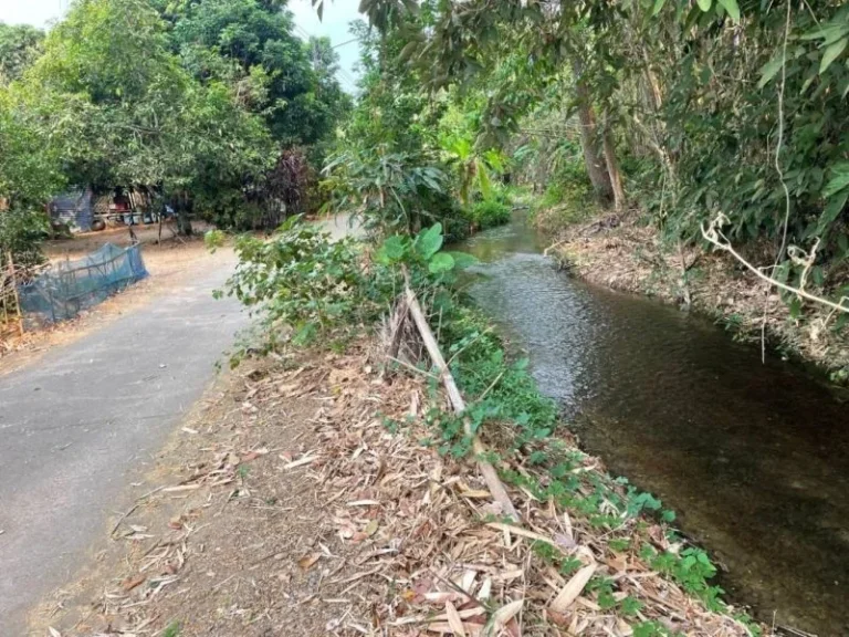 ขายที่ดินเนื้อที่ 289ตรว ติดถนนคอนกรีต หลังติดลำห้วย