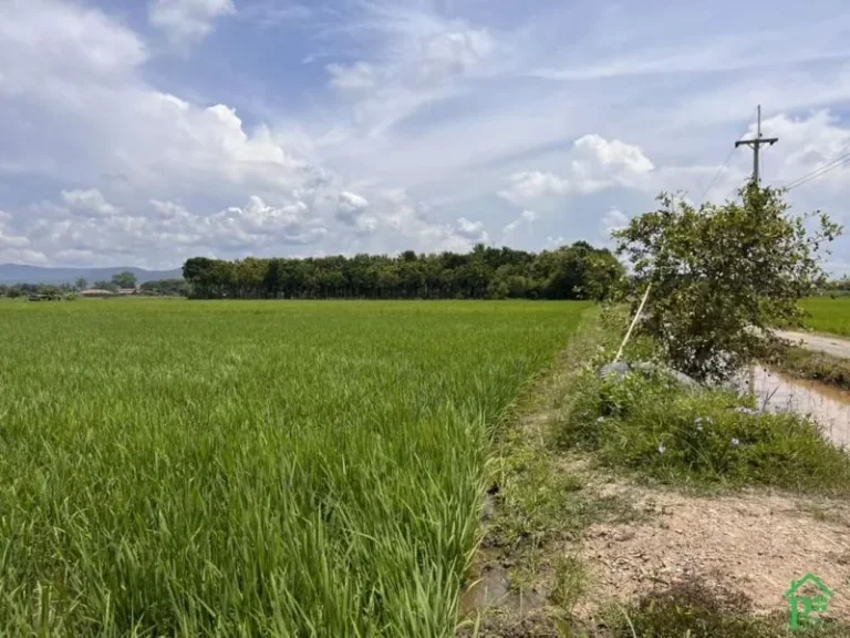 ขายที่นาวิวสวยสันโป่งแม่ริมวิวท้องนาโฉนดพร้อมโอน