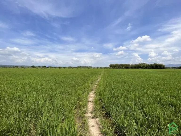 ขายที่นาวิวสวยสันโป่งแม่ริมวิวท้องนาโฉนดพร้อมโอน