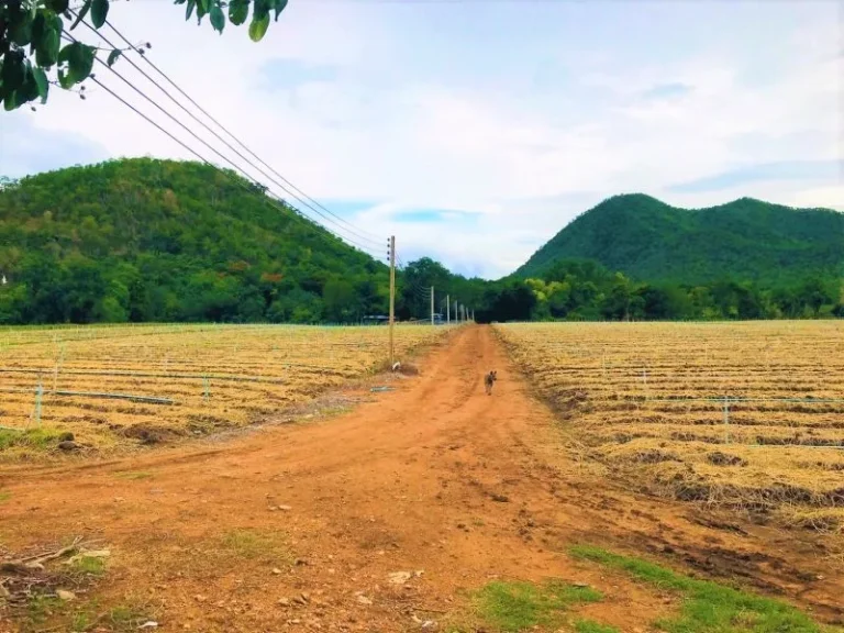 ขายที่ดินเมืองกาญจนบุรี ติดริมน้ำ 10 ไร่ 76 ตรว แปลงมุม