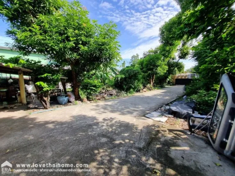 ขายที่ดิน ซนนทบุรี46 ซอยไทยานนท์7 ทะลุออก ซนนทบุรี48