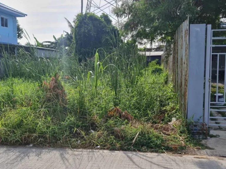 ขายที่ดินเปล่า ซวัดบุญยประดิษฐ์ ทะลุพุทธมณฑล สาย 2 ได้