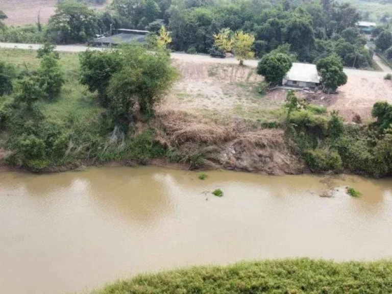 ขายที่ดินหลังติดแม่น้ำยม เนื้อที่ดิน 184ตรว หน้าติดถนนลาดยาง